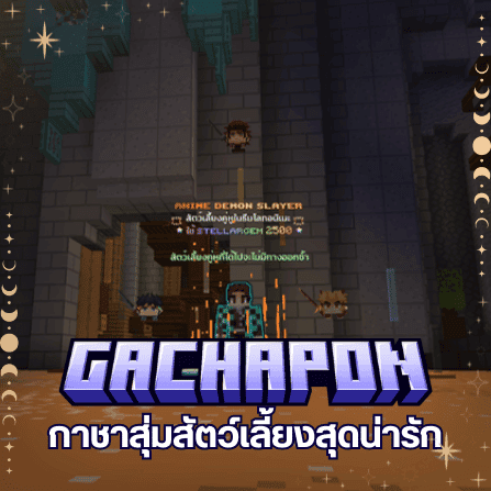 กาชาสุ่มสัตว์เลี้ยงสุดน่ารัก — ภาพโปรโมตระบบ MoonLightMC จาก Canva